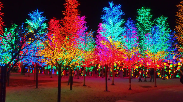 发光的树图片下载