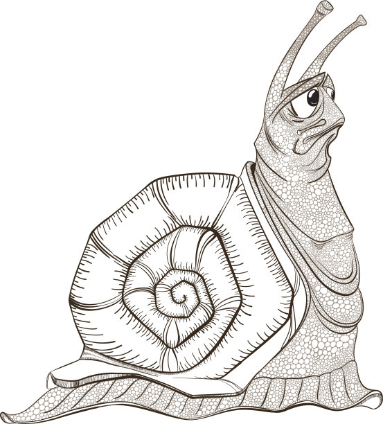 白色背景上悲伤的蜗牛的插图图片下载