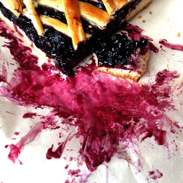 蓝莓派图片下载