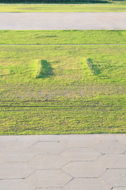 路边、草坪图片下载