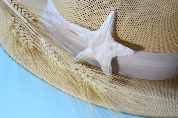 有海星和麦穗的草帽图片下载