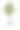 单棵绿色菩提树，有根图片下载