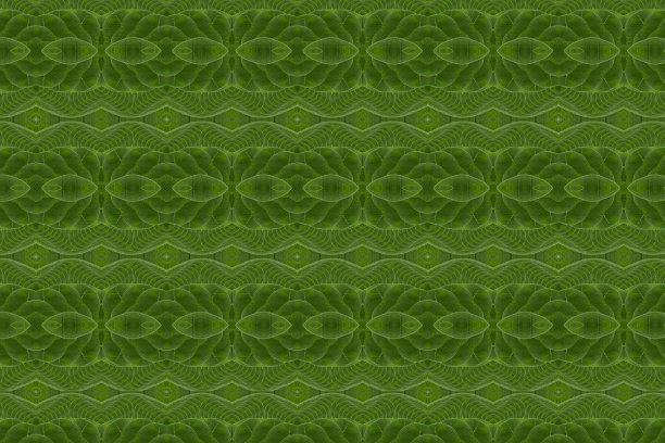 模式形成叶图片下载