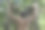 一个人在单杠上举起他的身体图片下载