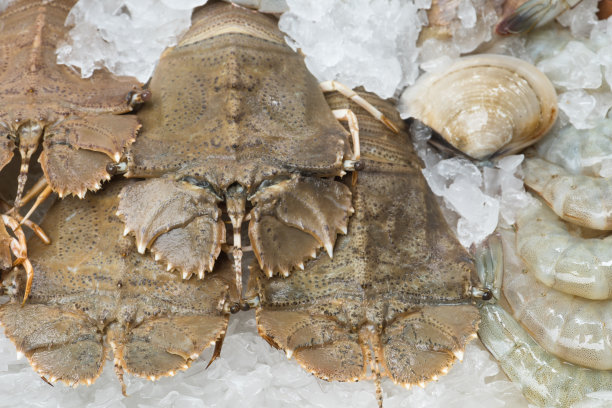 小龙虾在冰上图片下载