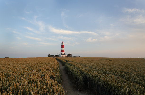 玉米和灯塔图片下载