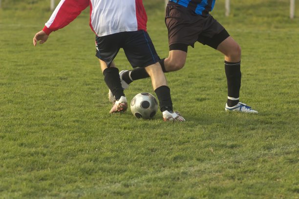 两个人一起行动图片下载