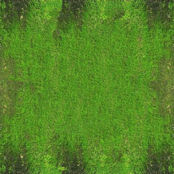 绿色的背景图片下载