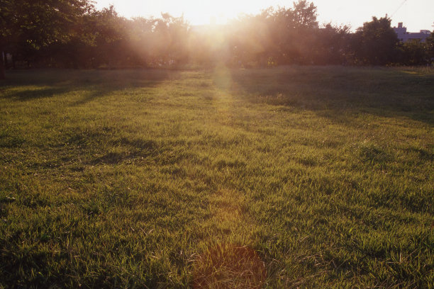 草地公园，美丽的阳光图片下载