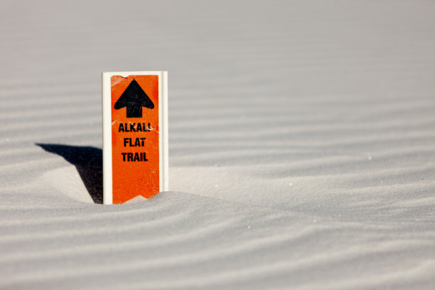 沙漠中图片下载