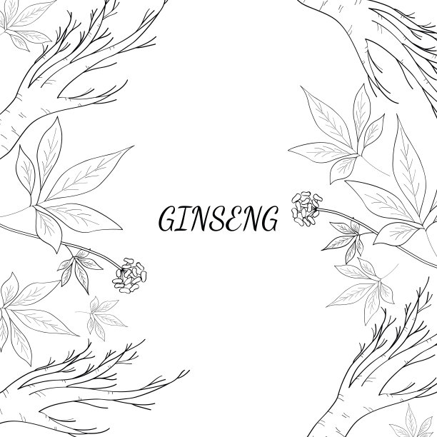 人参背景3图片下载