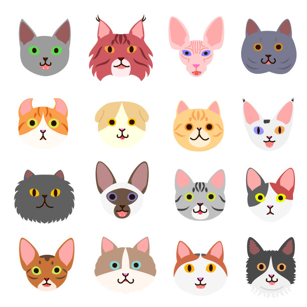 可爱的猫脸图片下载