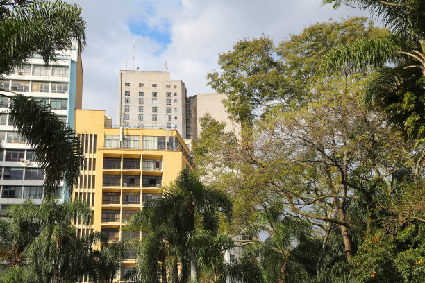 都市丛林图片下载