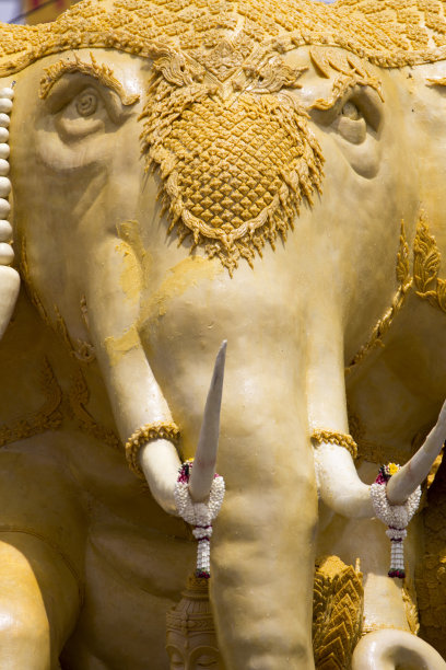 2014年克拉特蜡烛节图片下载