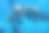 三只海豚在水下看着你的特写素材图片