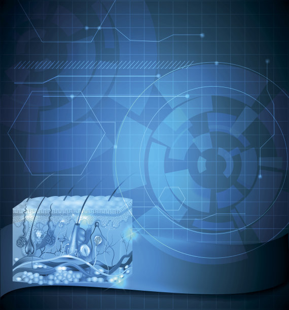 皮肤解剖抽象蓝色背景图片下载