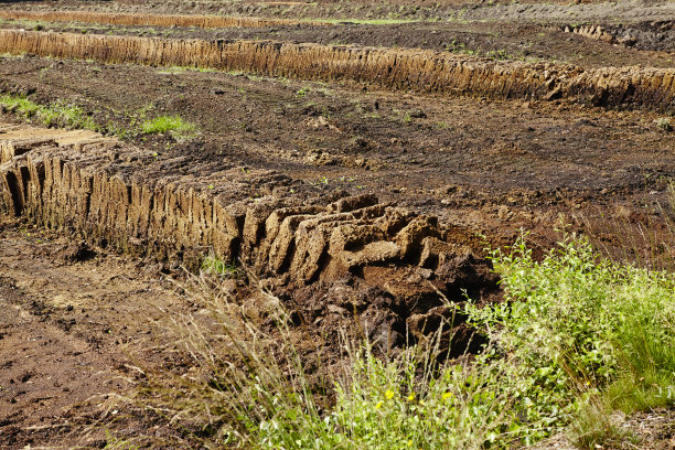 Osnabruecker土地(德国)-收获泥炭图片下载