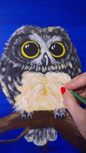 艺术家画猫头鹰图片下载