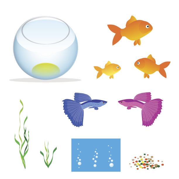 等距水族馆与鱼图片下载