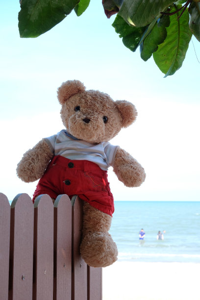 泰迪熊图片下载