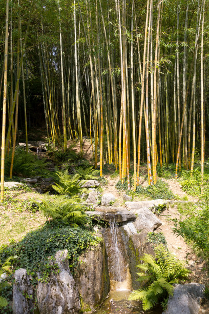 Villa Carlotta, Tremezzo, Como Como，意大利图片下载