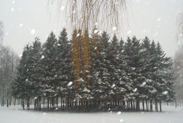 冬天。图片下载