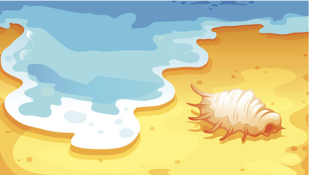 贝壳沙滩图片下载