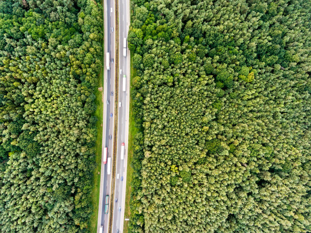 荷兰高速公路交通拥堵和绿色森林航拍素材图片