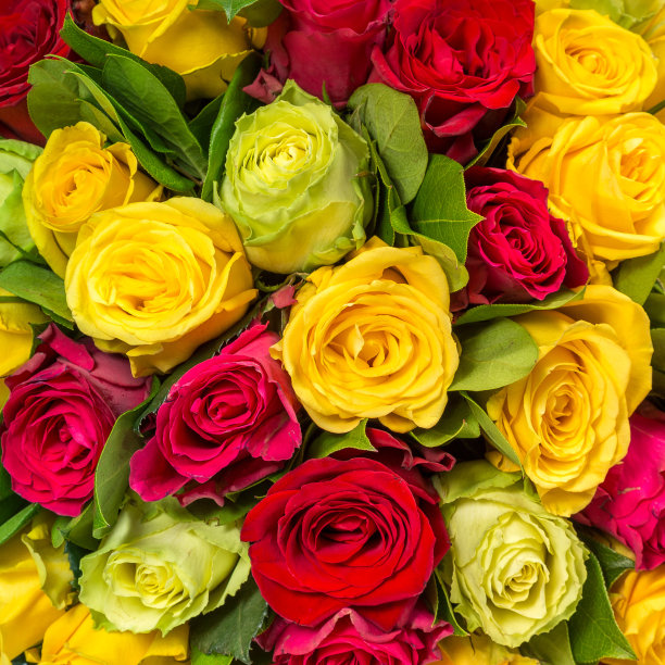 花的抽象背景图片下载