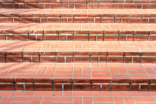 万代橙图片下载