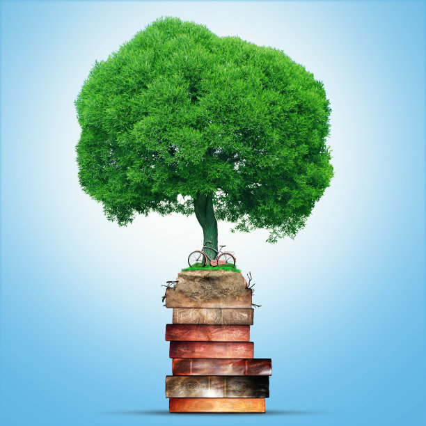 知识之树图片下载