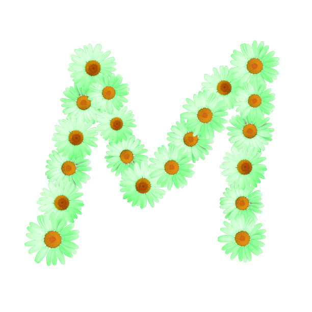 绿色雏菊字母M图片下载