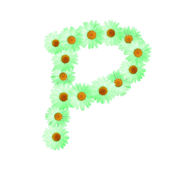 绿色雏菊字母P图片下载