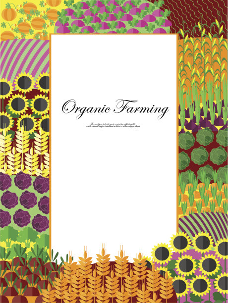 有机农业的背景。框架与丰富的田野景观图片下载