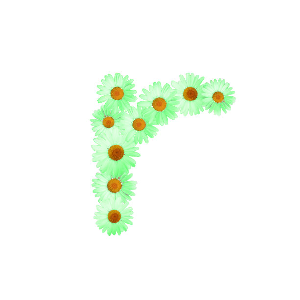 绿色雏菊字母R图片下载