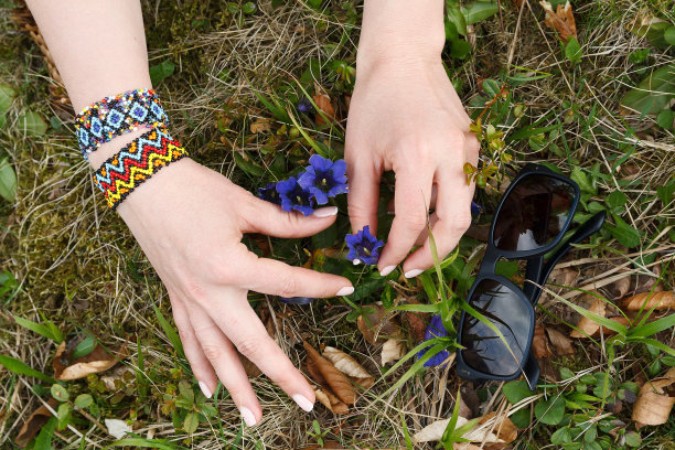 女性的手触摸着郊区的野花。自然图片下载