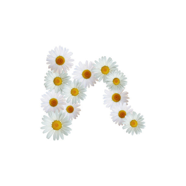 黛西字母N图片下载