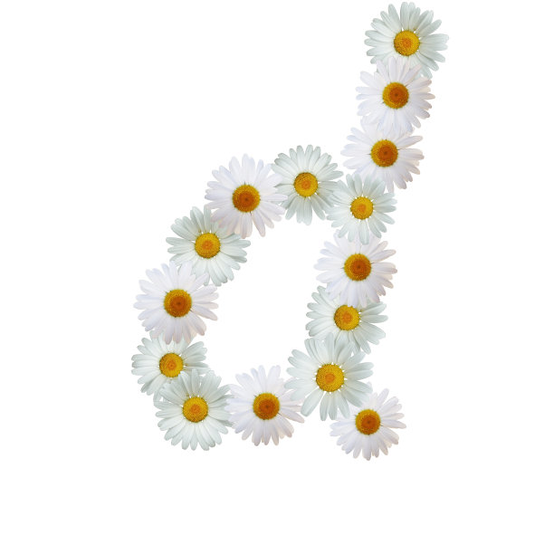 黛西信维图片下载