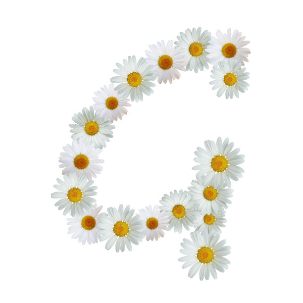 黛西字母G图片下载