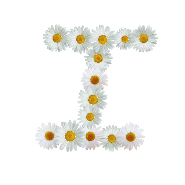 黛西的信我图片下载