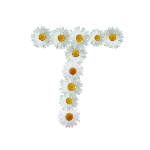 黛西字母T图片下载