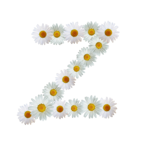 黛西字母Z图片下载