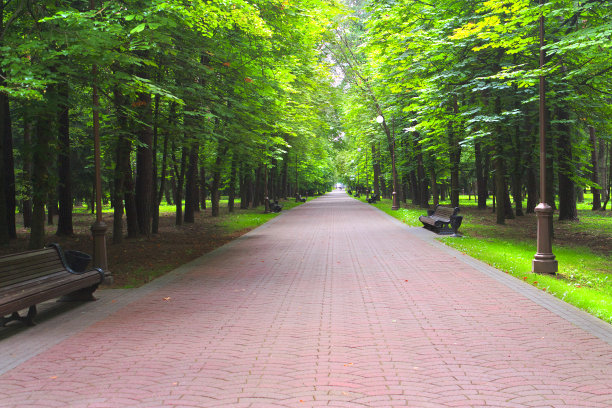 老公园里的小巷图片下载