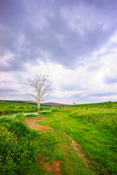 草地和蓝天图片下载