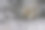 苹果在雪图片下载