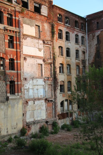 泽茨一切图片下载