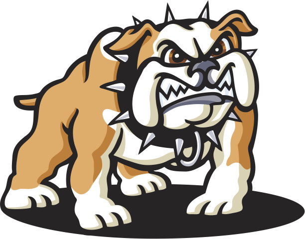 斗牛犬图片下载