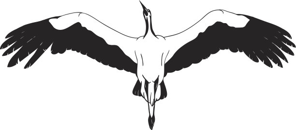 躺在白色鹳图片下载