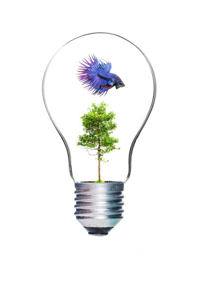 灯泡，孤立的，真实的照片图像图片下载