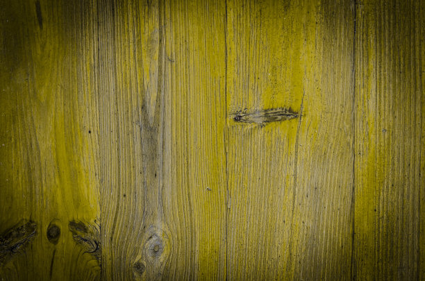 ?????？ ？？?？??图片下载